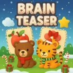 Brain teaser puzzles