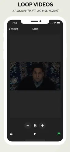 Loop Videos – Repeater screenshot