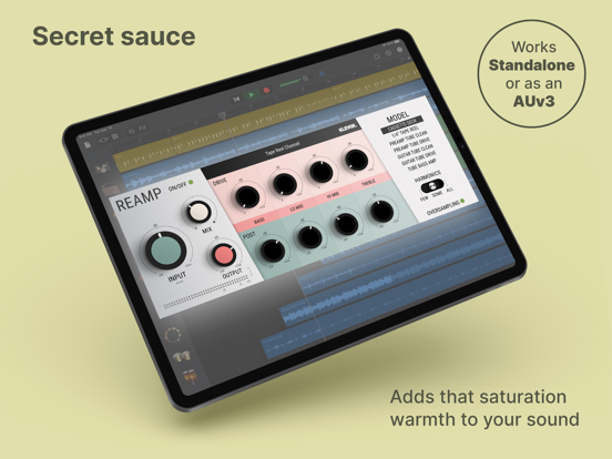 REAMP screenshot