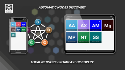 Screen Mirroring • Alfacast X screenshot