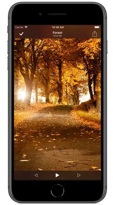 8player Pro screenshot