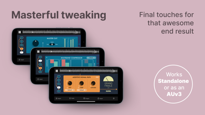 Grand Finale 2 screenshot