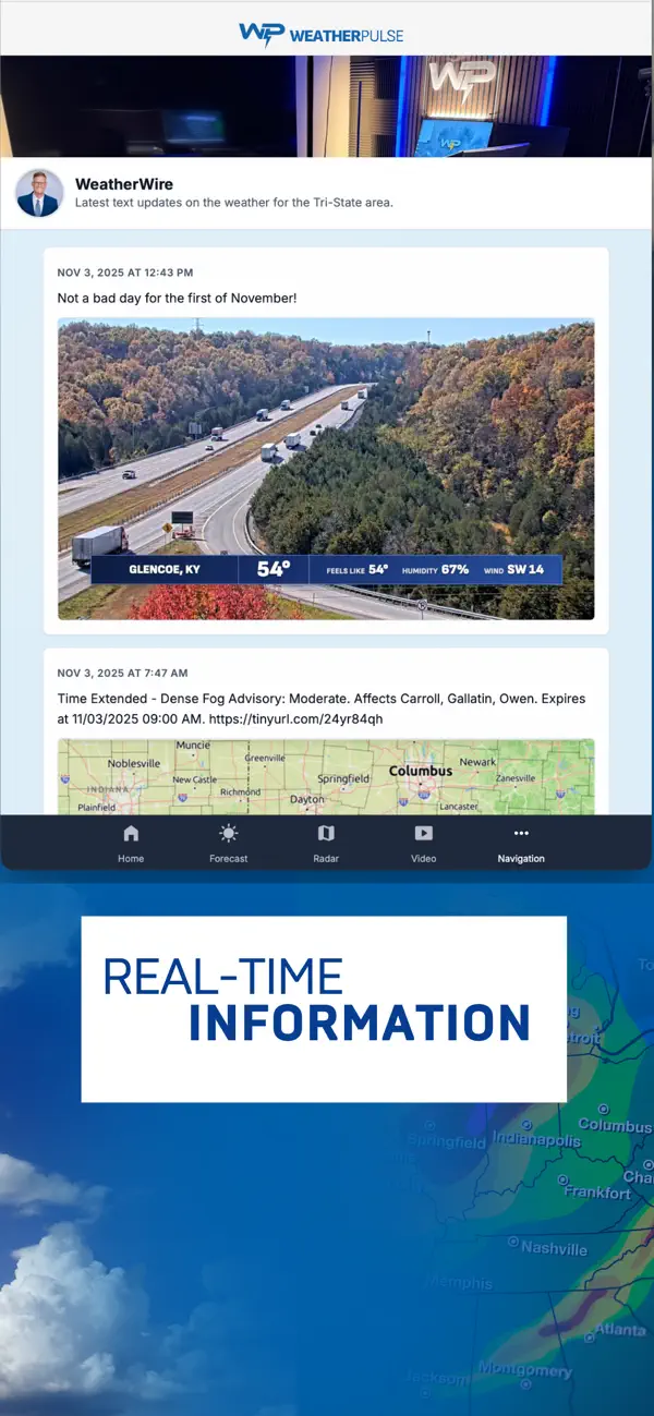WeatherPulse screenshot
