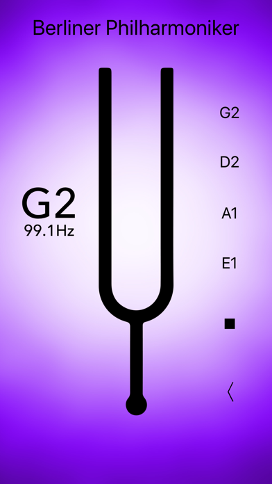 Double Bass Tuner Professional screenshot