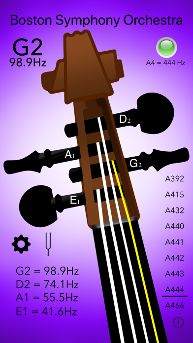 Double Bass Tuner Professional screenshot