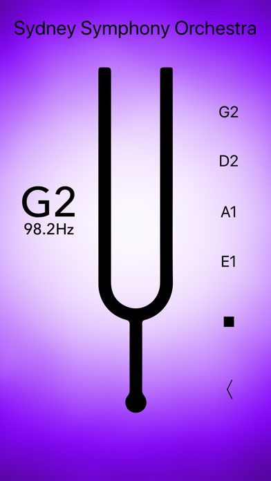 Double Bass Tuner Professional screenshot