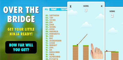 Over The Bridge PRO screenshot