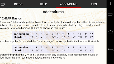 Blues Guitar Soloist screenshot