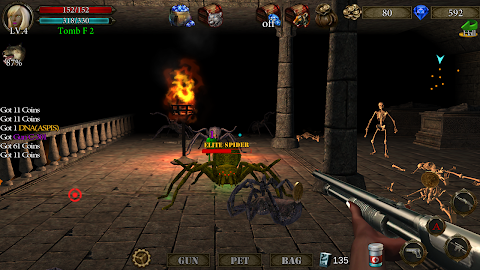 Dungeon Shooter : Dark Temple screenshot