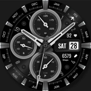 WFP 308 Business watch face