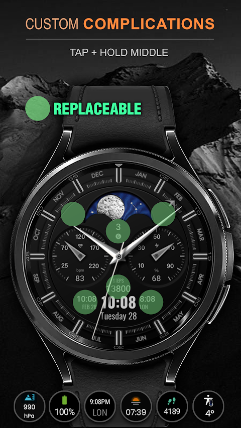 WFP 309 Elegant watch face screenshot