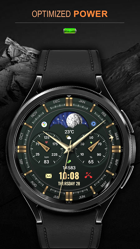 WFP 309 Elegant watch face screenshot