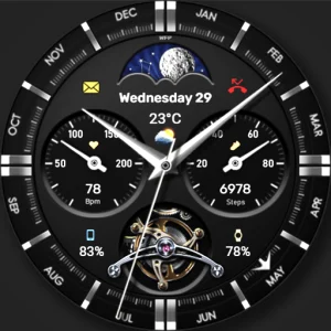 WFP 334 Business watch face