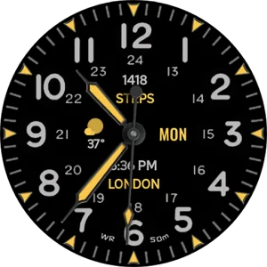 Field Watch 1 Wear OS 5+