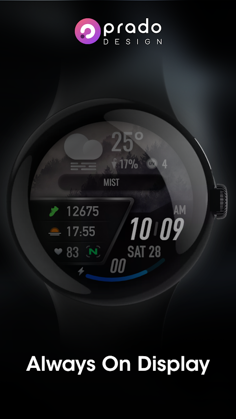 PRADO 25 Weather Watch Face screenshot