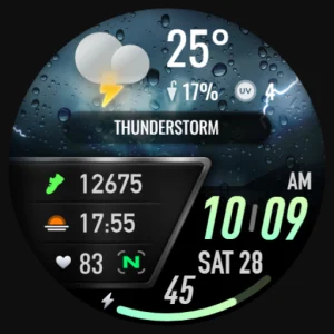 PRADO 25 Weather Watch Face
