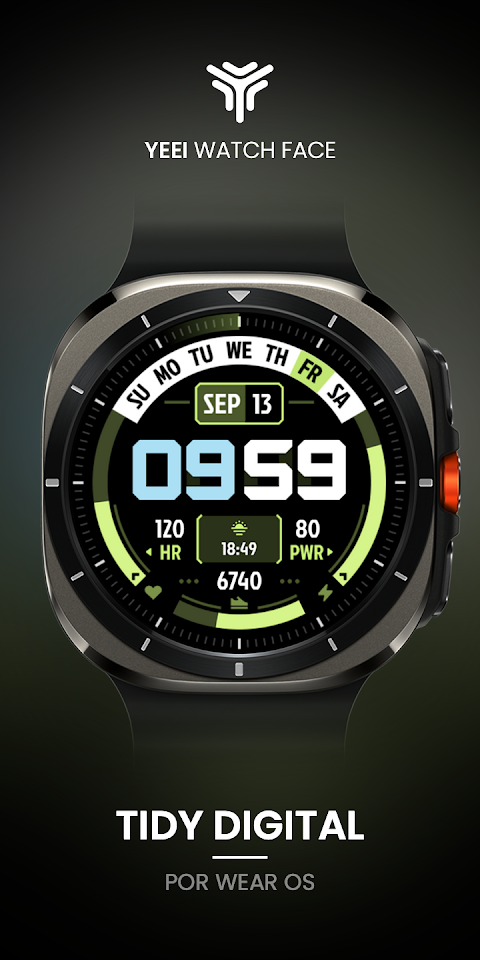 Tidy Digital: Watch Face screenshot
