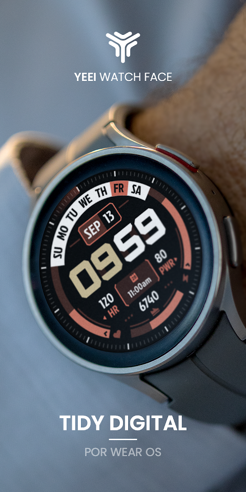 Tidy Digital: Watch Face screenshot