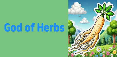 [365fun] God of Herbs screenshot