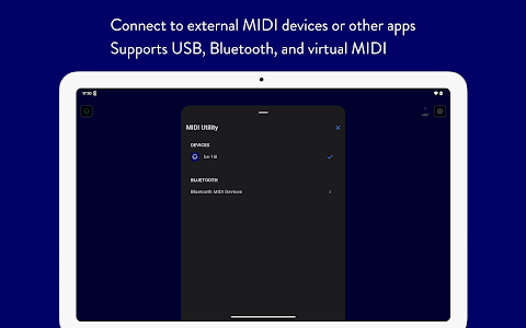 bismark DamperPedal – CC#64 screenshot