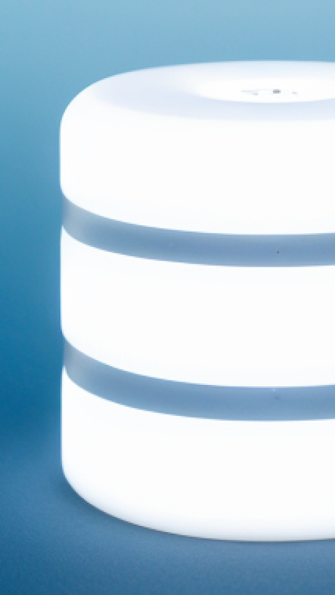 Binders | License screenshot