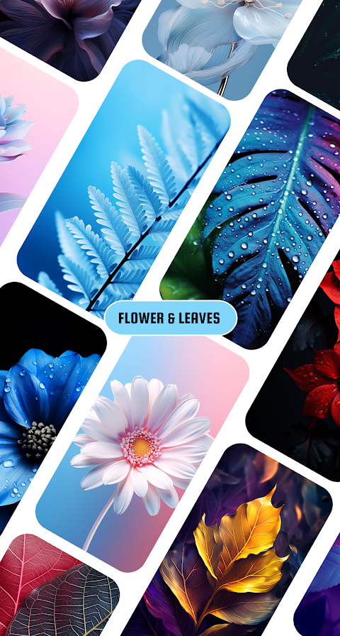 WallGem -Wallpapers Background screenshot