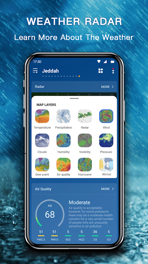 Accurate Weather App PRO screenshot