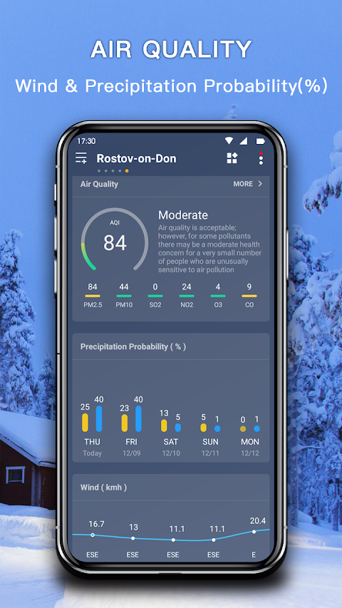 Accurate Weather App PRO screenshot