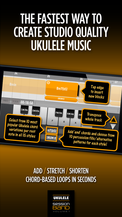 SessionBand Ukulele Band 1 screenshot