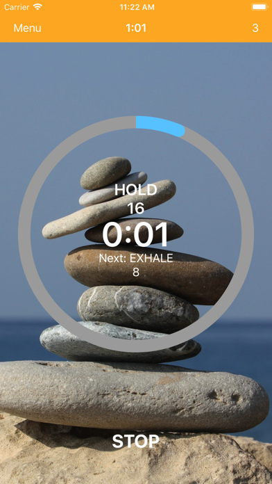 Pranayama Breathing Yoga Timer screenshot