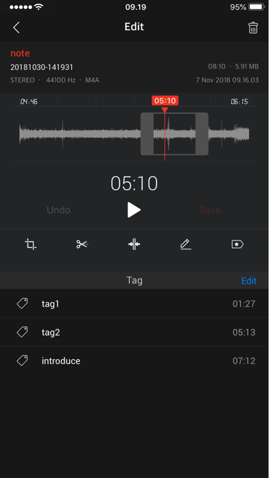 Voice Memos – SoundNote Pro screenshot