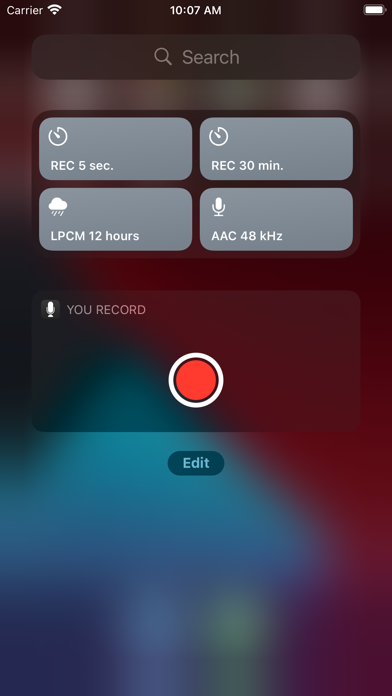 You Record Pro screenshot