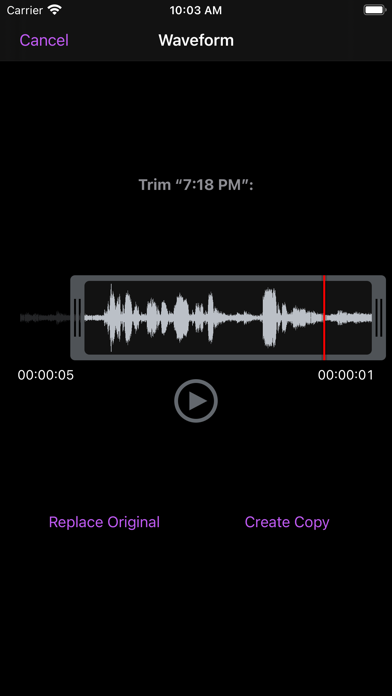 You Record Pro screenshot