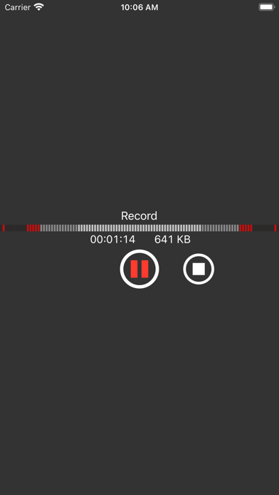 You Record Pro screenshot