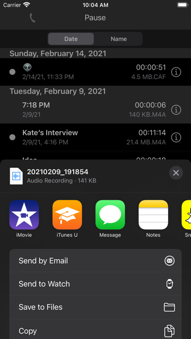 You Record Pro screenshot