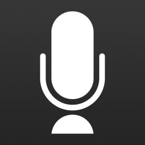 You Record Pro