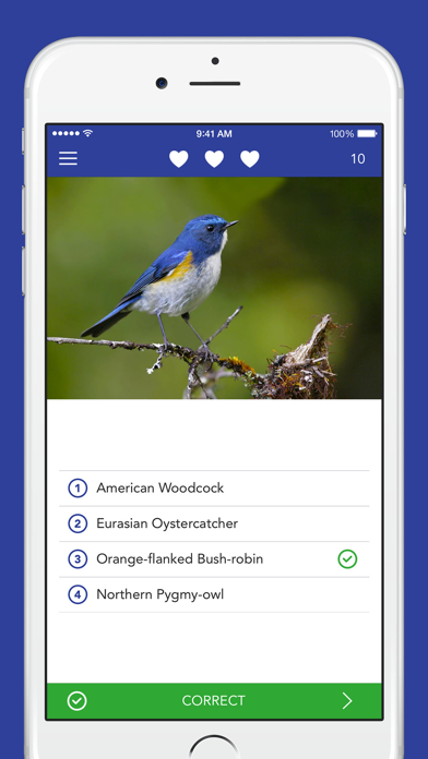 iKnow Birds PRO screenshot