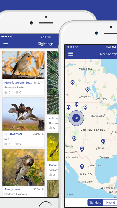 iKnow Birds PRO screenshot