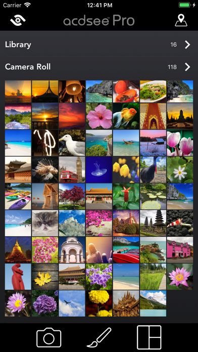 ACDSee Pro screenshot