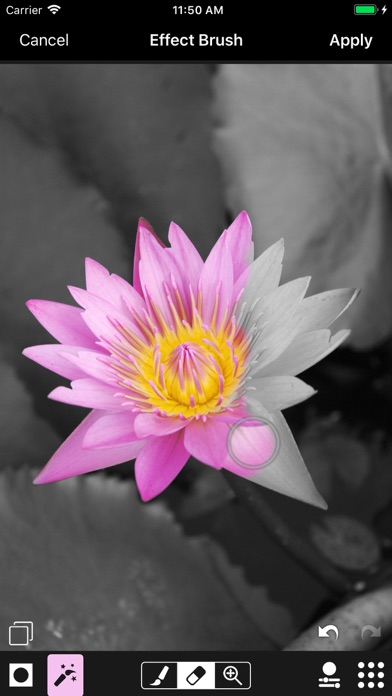 ACDSee Pro screenshot