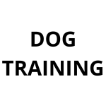 Dog Training: by NS Apps