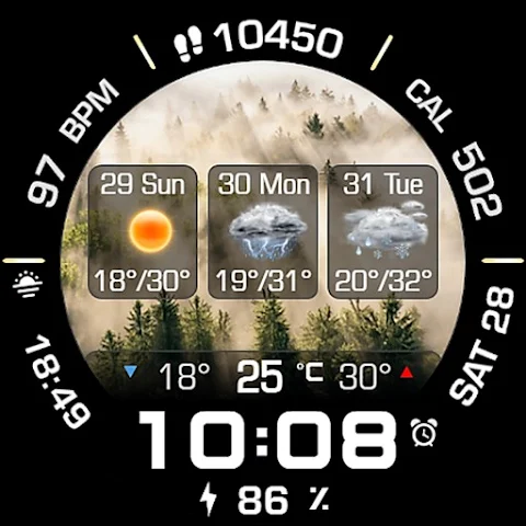 Animated Weather 3 Days Data screenshot
