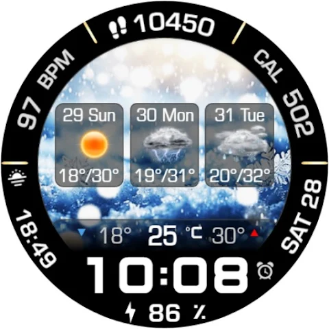 Animated Weather 3 Days Data screenshot