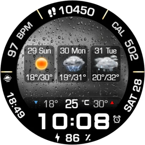 Animated Weather 3 Days Data screenshot
