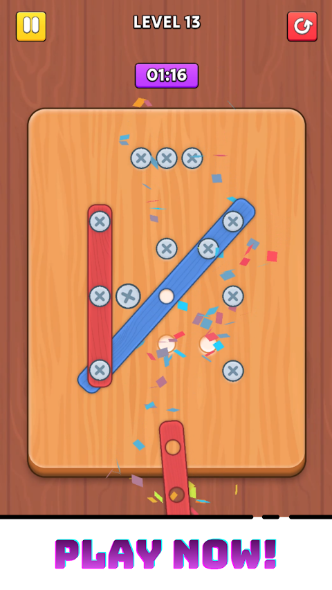 Screw Puzzle Premium screenshot