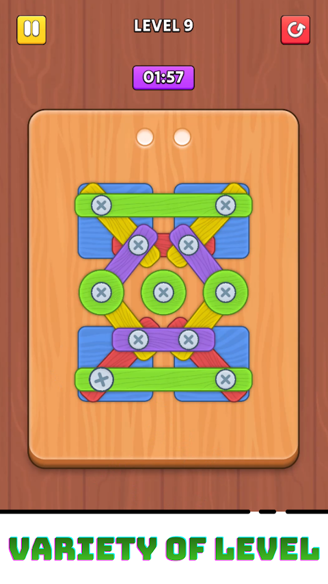 Screw Puzzle Premium screenshot