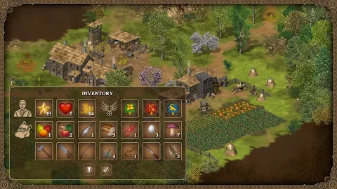 Hero of the Kingdom screenshot