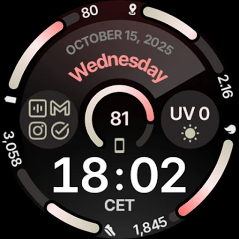Circle Dashboard Watch Face screenshot