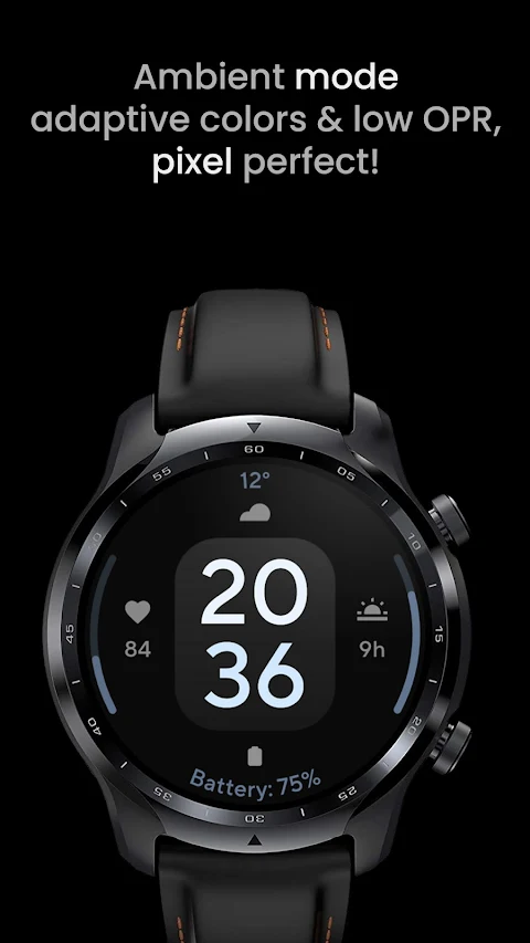 Concentric 1: Watch face screenshot