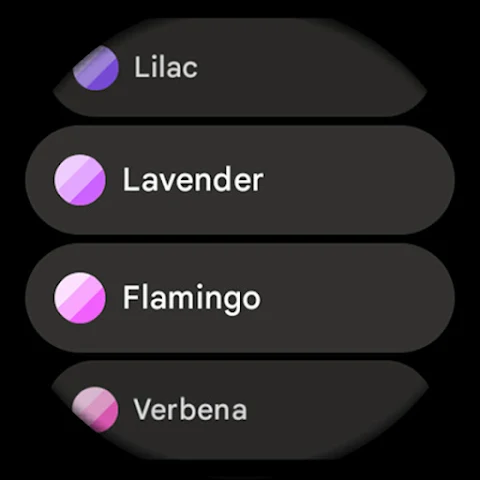 Weather Forecast Watch Face screenshot